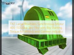 TXZ 대형 브러시리스 동기 전동기 400-15000kw 3kv-11kv, 광업 및 시멘트 산업용 대형 시동 토크