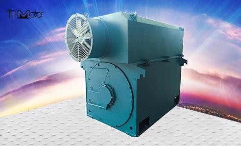 민 400 kw 내지 6000 kw 3 단계 농형 고전압 교류 전동기 596r/