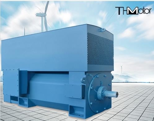 400 내지 6000 kw 고전압 교류 전동기 IP23 전기 유도 모터