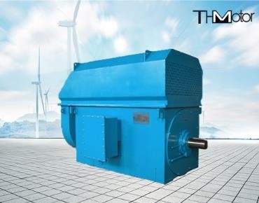 3000rpm 고전압 일렉트릭 모터에 대한 저소음 100rpm에게 50Hz 10KV를 덜어주는 IP23 에너지