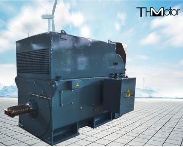 Y800 6000 kw 큰 농형 고전압  일렉트릭 모터 1500r/ 민 IP54