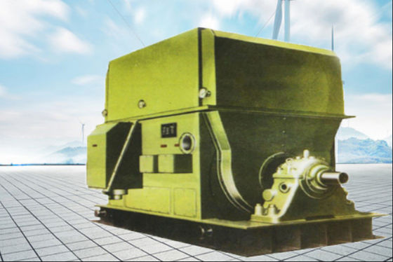 다람쥐 케이지 고속 전기 모터