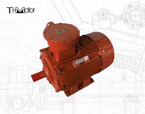 VVVF 속도 조절 폭발 방지 모터 IP55 보호 클래스 380-440 V