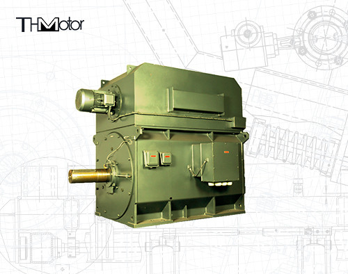 YPKK 케이지 인버터 3단계 비동기 모터 3000RPM IP55 6000KW