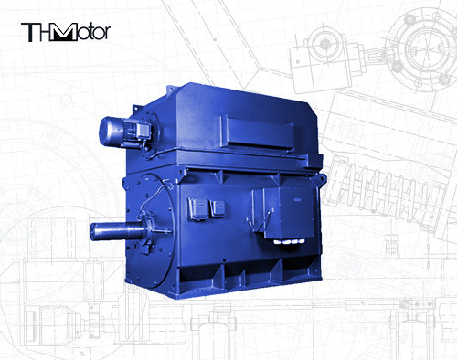 IP55 94.5% 조정 속도 3단계 비동기 모터 IEC DNV GB