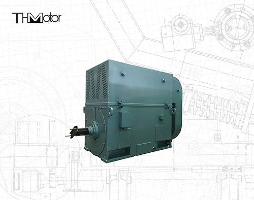 Y630-12 3 단계 비동시적 스쿼럴 케이지 인덕션 모터 710 kw 496rpm