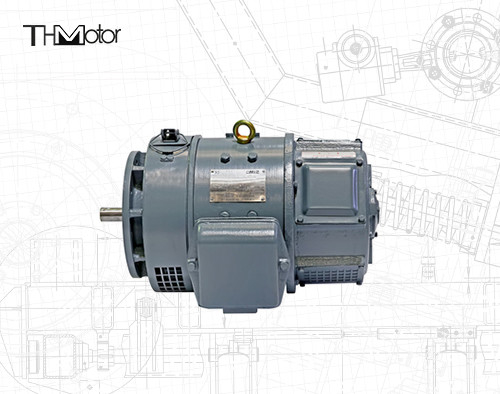 CE IEC Z2 일련 작은 고전압 DC 모터 115v 220v z2 작은 직류 전동기