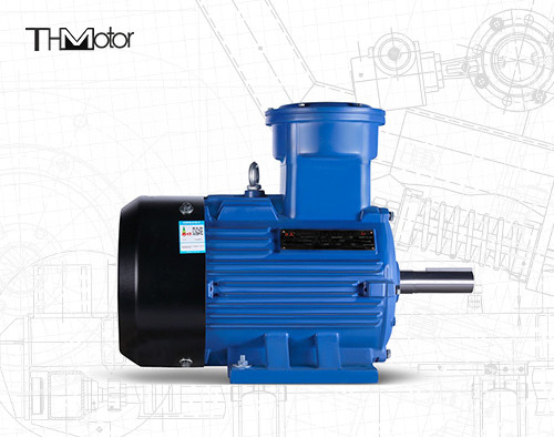 165kW 방염 물 펌프 비동기식 모터 GB30254