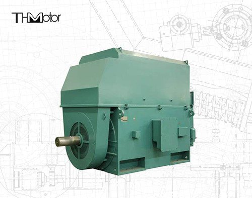 50hz 전압 전기 모터 IP23 - IP55 등급 전력 범위 400kw에서 6000kw 사이