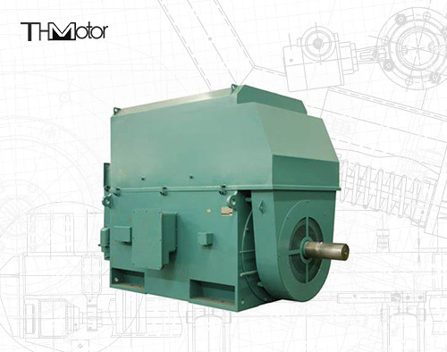 50hz 전압 전기 모터 IP23 - IP55 등급 전력 범위 400kw에서 6000kw 사이