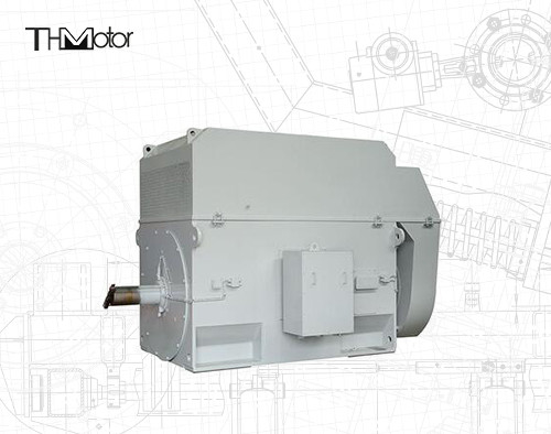 50Hz 다람쥐 케이지 모터 100mm 샤프트로 연속 3000RPM 동작