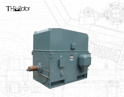 산업용 다람쥐 케이지 전기 모터 3000RPM 1250KW 142A IP55 연속 S1