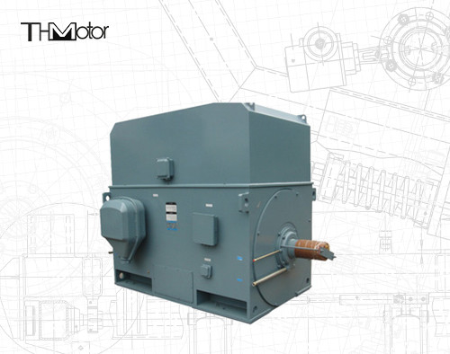 산업용 다람쥐 케이지 전기 모터 3000RPM 1250KW 142A IP55 연속 S1