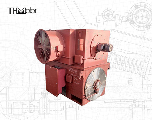 6KV 10KV 3상 도입 권선형 회전자 동기 전동기 IP44