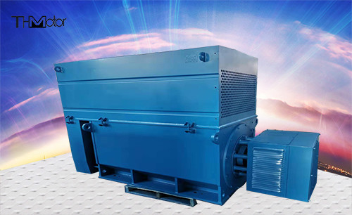 6000 kw 3상 농형 교류 유도 모타 고전압 교류 전동기 6 킬로볼트 10 킬로볼트