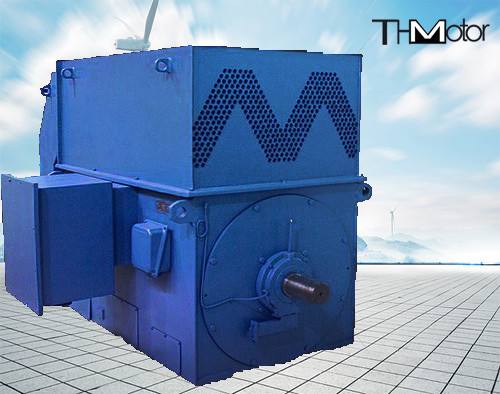 6KV 10KV 농형 고속 전기 모터 IP23 IP54 IP55