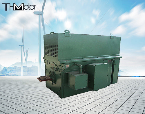 Y900 Y1000 석탄 광업 3상 비동시적  고전압 일렉트릭 모터 900 kw 1250 kw