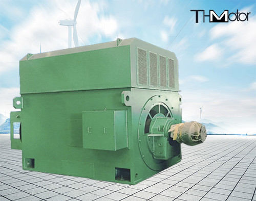 발전소 고효율 일렉트릭 모터 900 kw 2500 kw