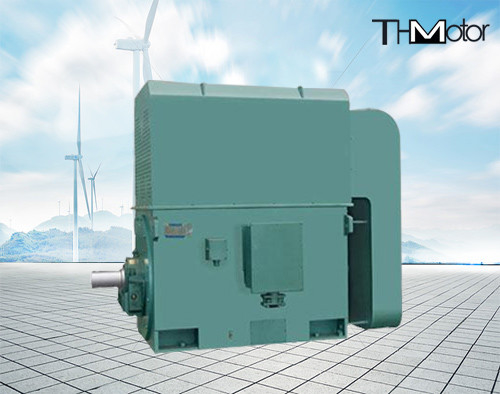50 hz 5000 kw 고전압 일렉트릭 모터