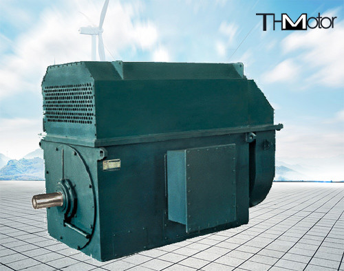 941 Rpm 400 kw 내지 6000 kw 3 단계 도입 고전압 일렉트릭 모터 6 킬로볼트