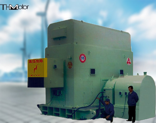 6300KW 브러시리스 여자기 에이 동기 모터 IP44 IP54 IP55