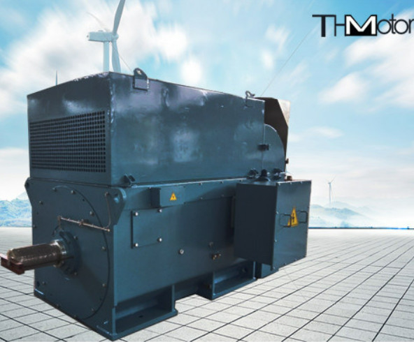 Y800 400 kw 내지 6000 kw 농형 고전압 일렉트릭 모터 1500r/Min 3600rpm