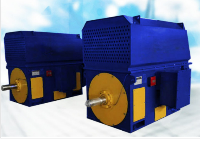 TMW 붓을 쓸 필요가 없는 에이 동기 모터 대규모 300r/Min 10 KV IEC GB