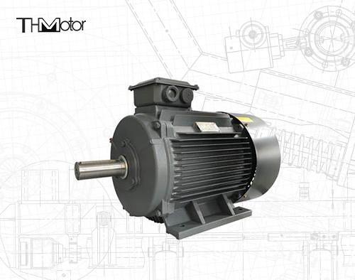 GB30254 고전압 내염성 전동기 펌프 IP65 165kW