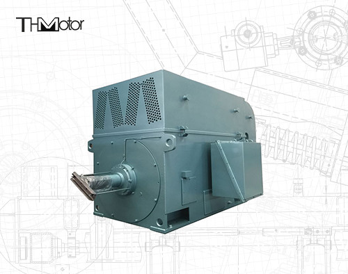 농형 고속 전기 모터  고전압 일렉트릭 모터 6KV 10KV IP23 IP54 IP55
