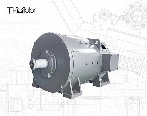 250 kw 300 kw 400KW YRKK 고전압 전동기 HV 모터   10000V 740rpm